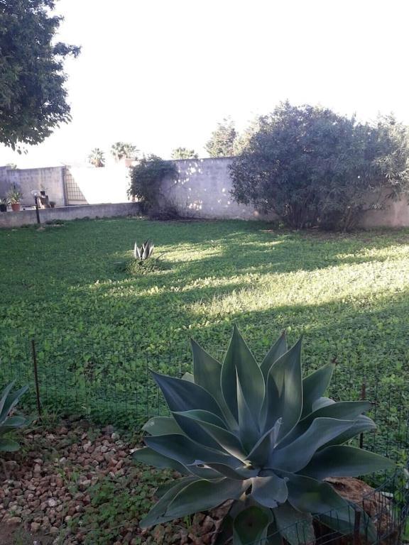 Villa Singola A 1300 Mt Dal Mare Mazara del Vallo Exterior photo
