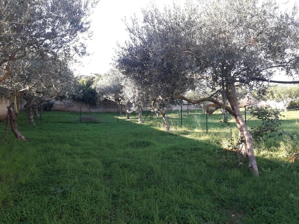 Villa Singola A 1300 Mt Dal Mare Mazara del Vallo Exterior photo